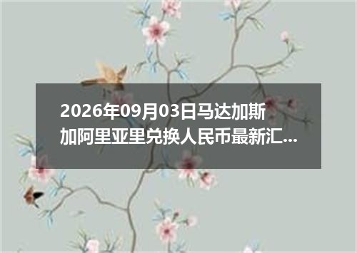 2026年09月03日马达加斯加阿里亚里兑换人民币最新汇率行情