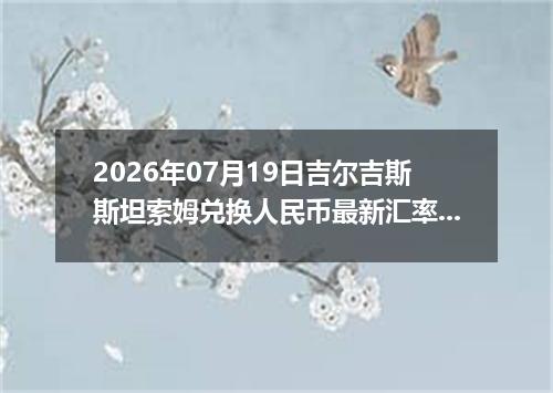 2026年07月19日吉尔吉斯斯坦索姆兑换人民币最新汇率行情