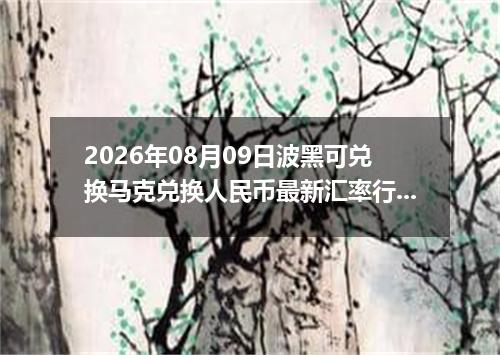 2026年08月09日波黑可兑换马克兑换人民币最新汇率行情