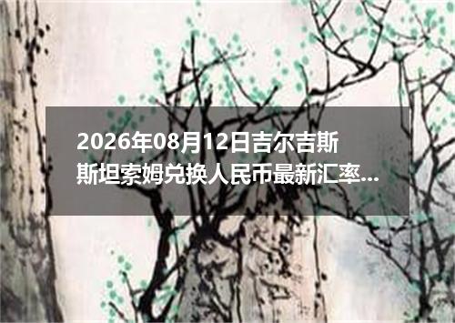 2026年08月12日吉尔吉斯斯坦索姆兑换人民币最新汇率行情
